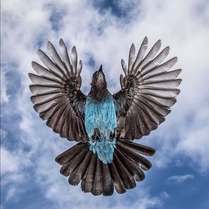 Meet your Posher, Lathaniel